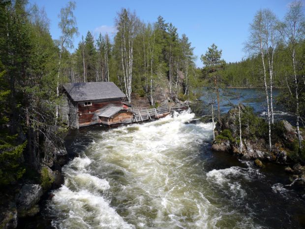 Myllykoski Oulangan kansallipuistossa (CC BY Lysy)