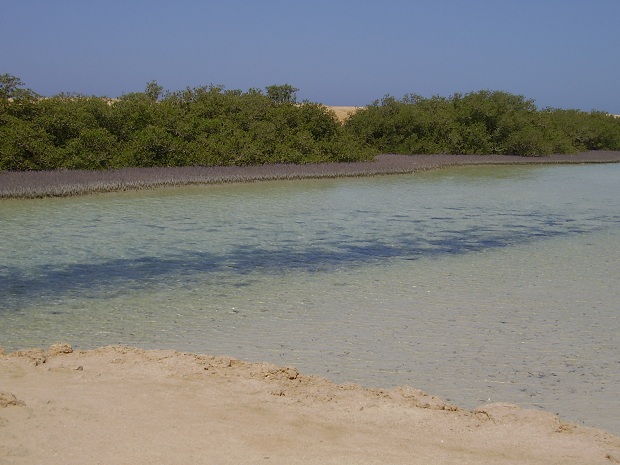 Ras Mohammedin kansallispuisto (kuva: Kormoran CC-SA) Ras Mohammedin kansallispuisto (kuva: Kormoran CC-SA)