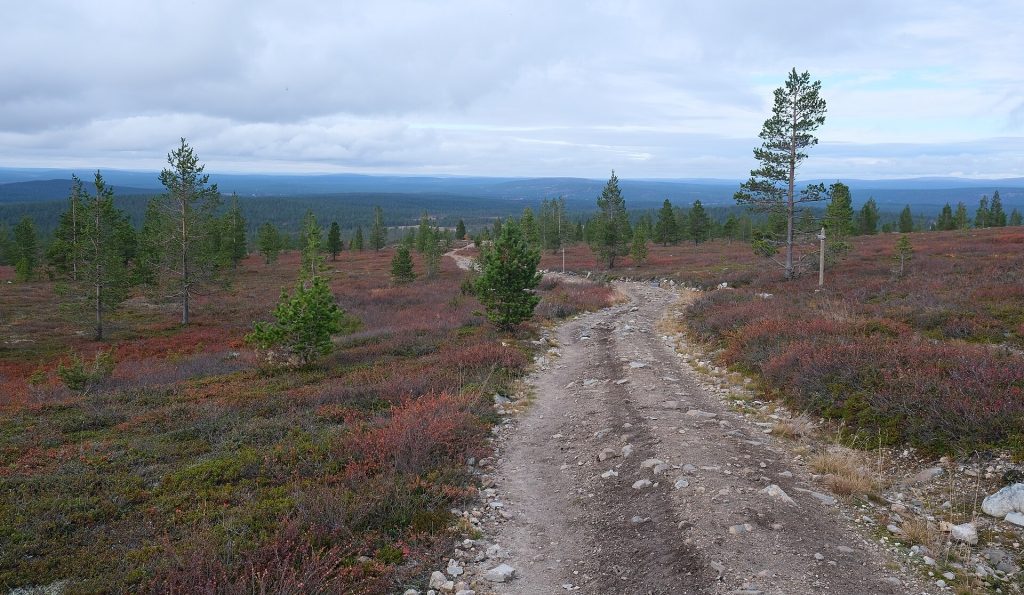 Hetta–Pallas-reitin polku kulkee avointa tunturiylänköä pitkin