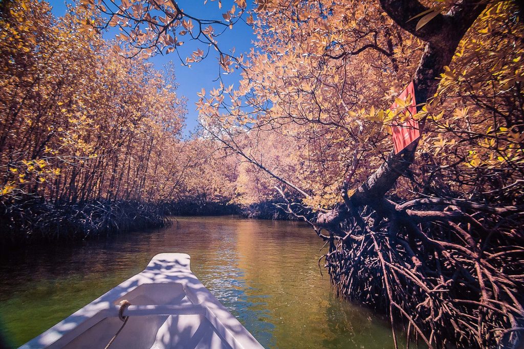 Vene mangrovemetsän reunustamalla joella Langkawilla