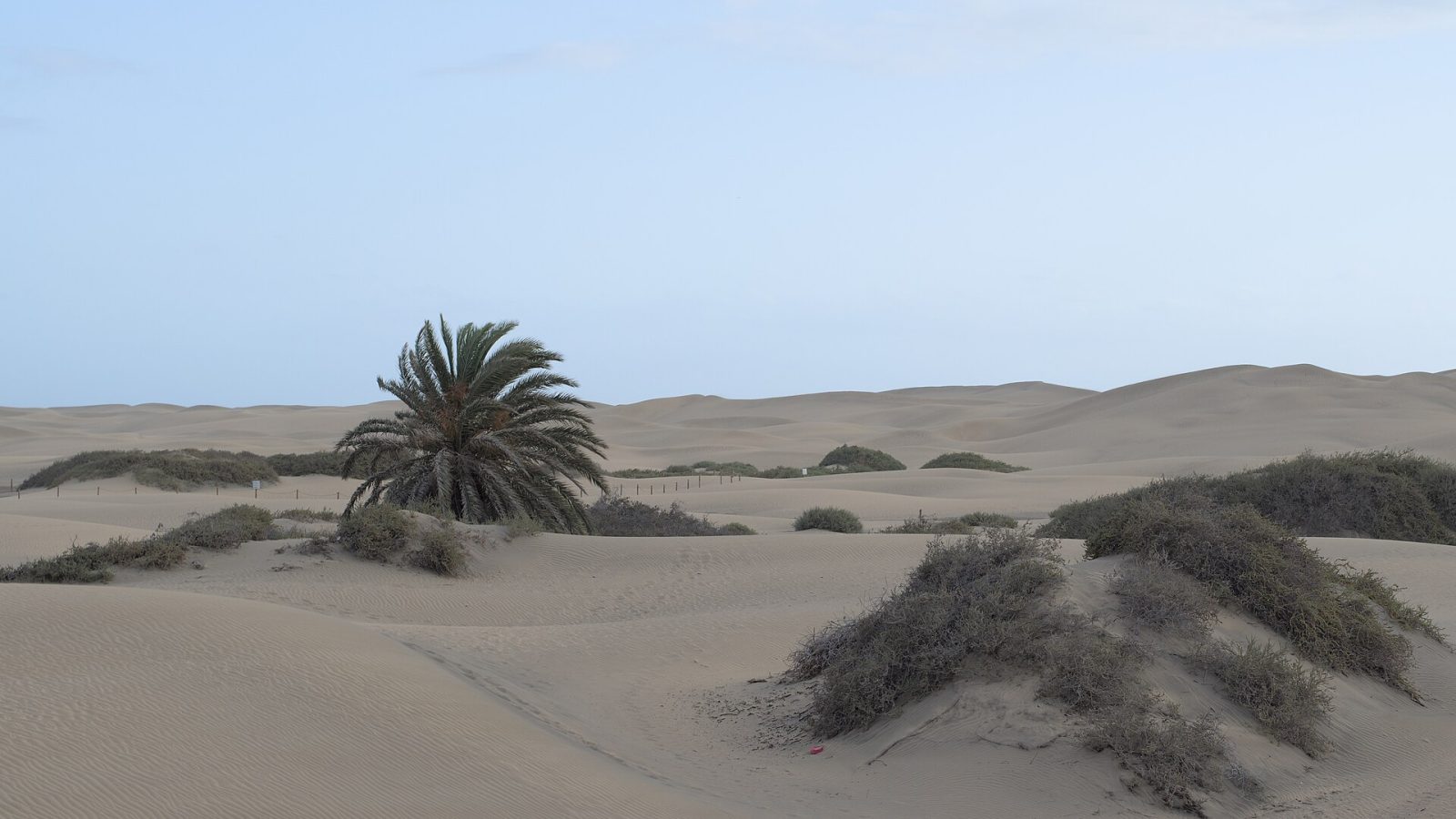 Maspalomas matkaopas: dyynit, majakka ja missä asua