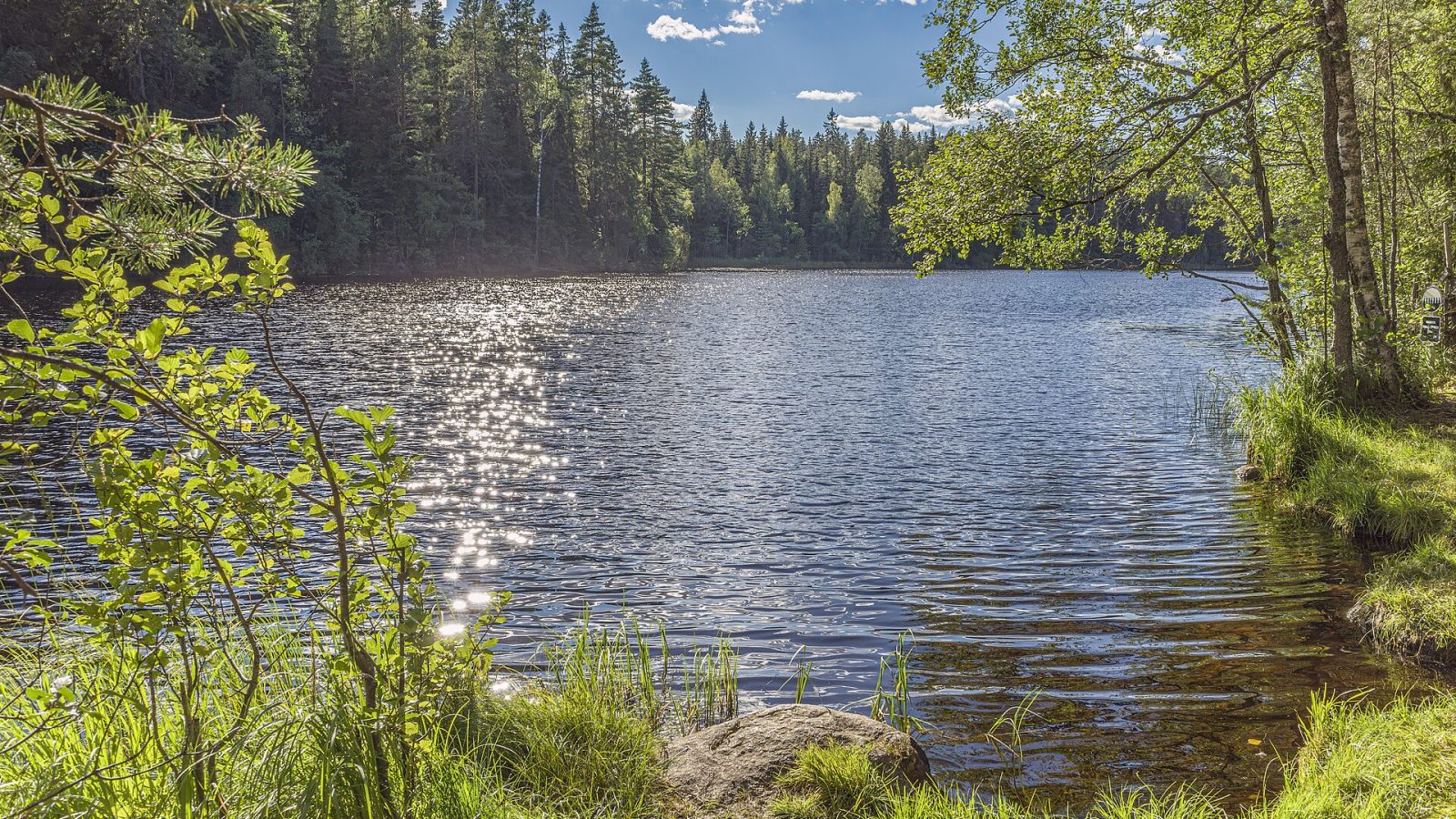 Nuuksion kansallispuisto: reitit, Haltia ja julkisilla perille