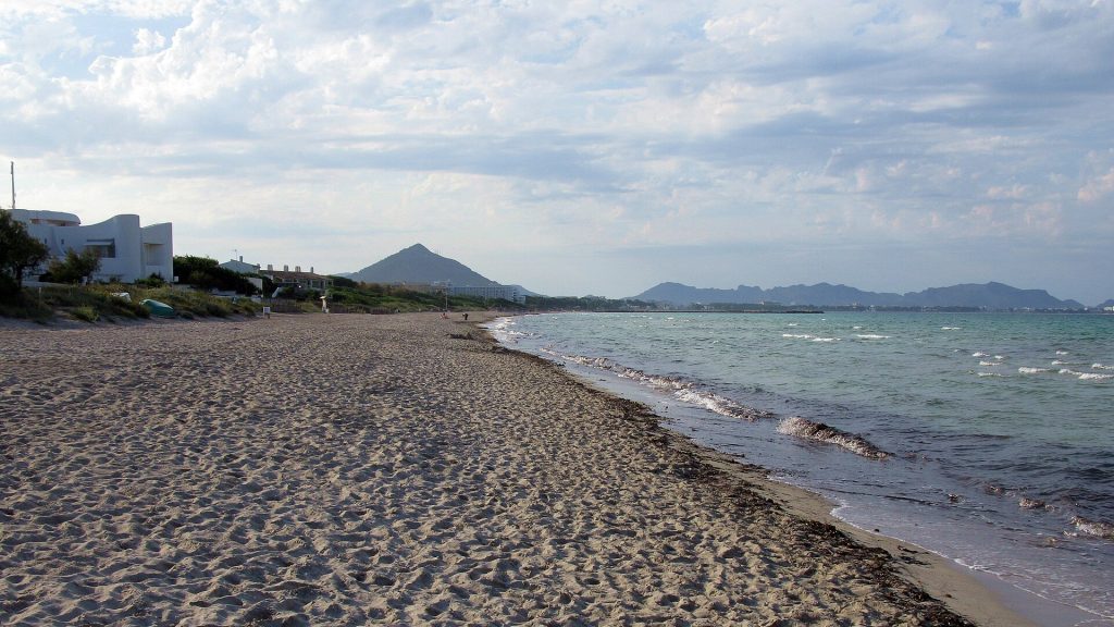 Platja de Muron pitkä hiekkaranta ja kirkas meri Alcúdianlahdella