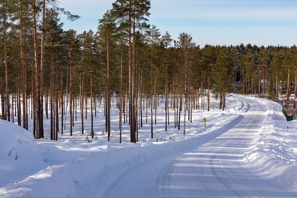 Luminen polku mäntymetsässä Ähtärissä