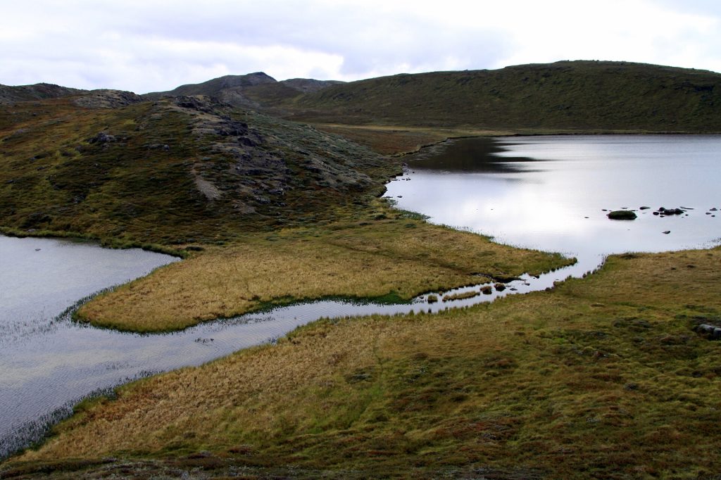 Tunturiylängön järviä ja joki Arctic Circle Trail -reitin varrella Länsi-Grönlannissa