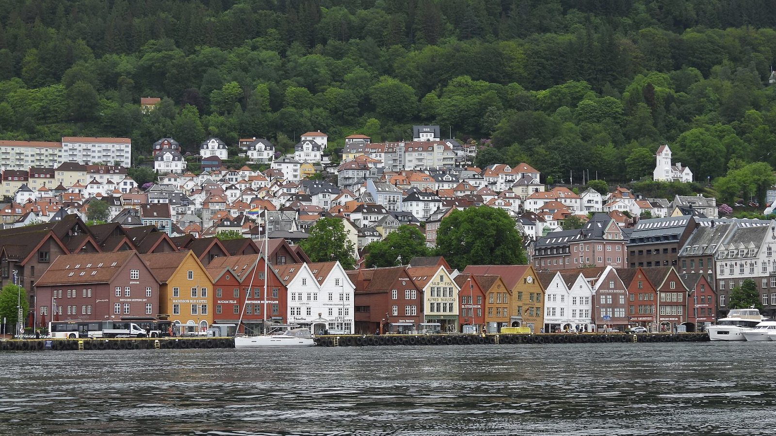 Bergen matkaopas – Bryggen, vuoret ja vuonoretket