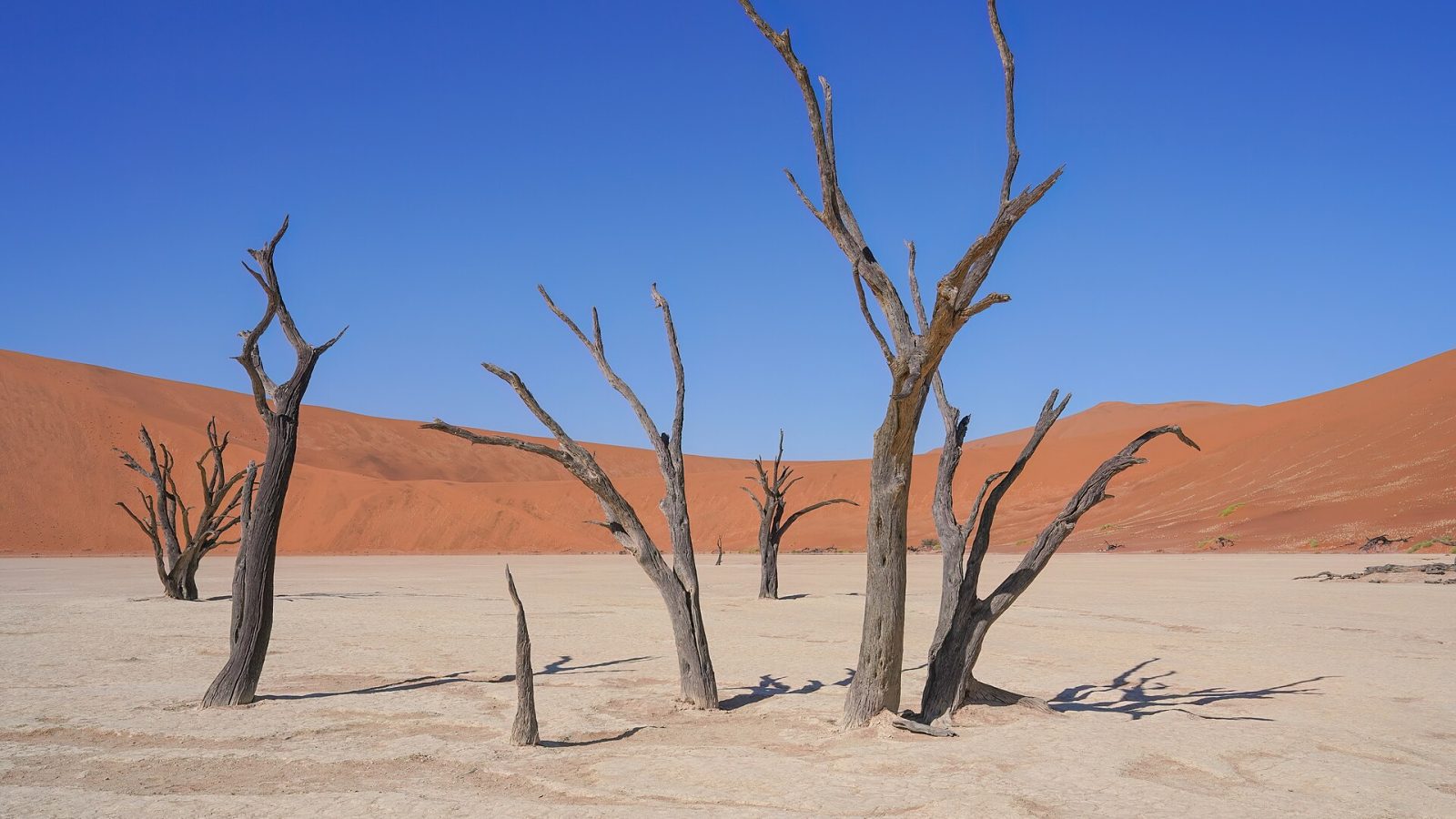 Namibia matkaopas: Sossusvlei, Etosha ja itse ajaen