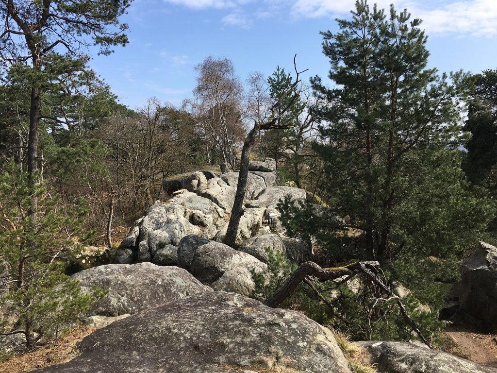 Hiekkakivilohkareita ja mäntymetsää Fontainebleaun boulderointialueella