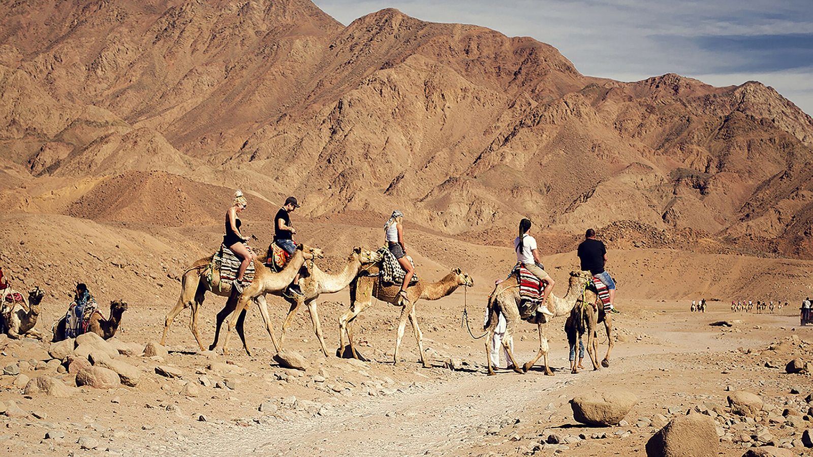 Kameliajelu Egyptin aavikolla – Siinai, Hurghada ja vinkit