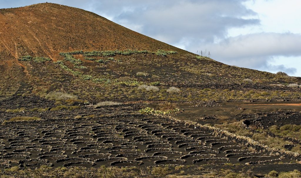 La Gerian viinitarhat ja tulivuorimaisema Lanzarotella