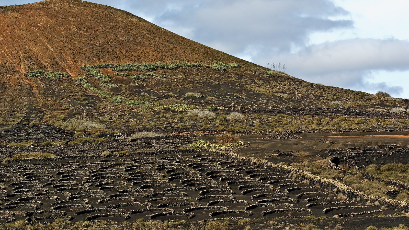 Teneriffa vai Lanzarote? Vertailu ja valintaopas