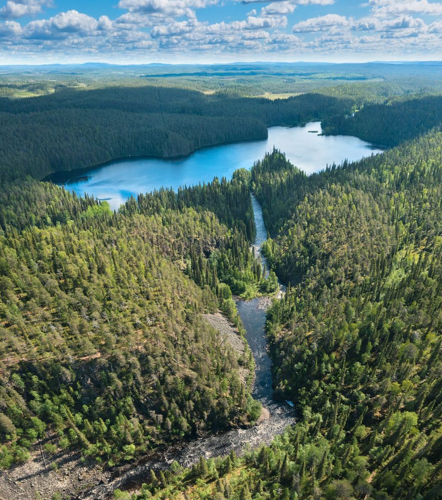 Ilmakuva Oulankajoesta ja Savilammesta metsien keskellä