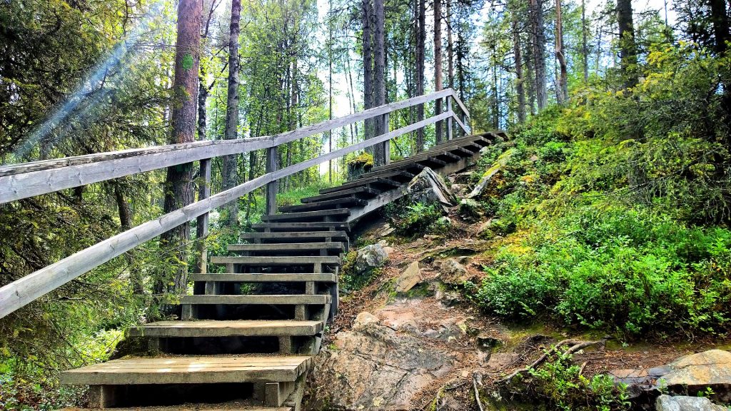 Puiset maastoportaat ja polku vihreässä metsässä Pienellä Karhunkierroksella