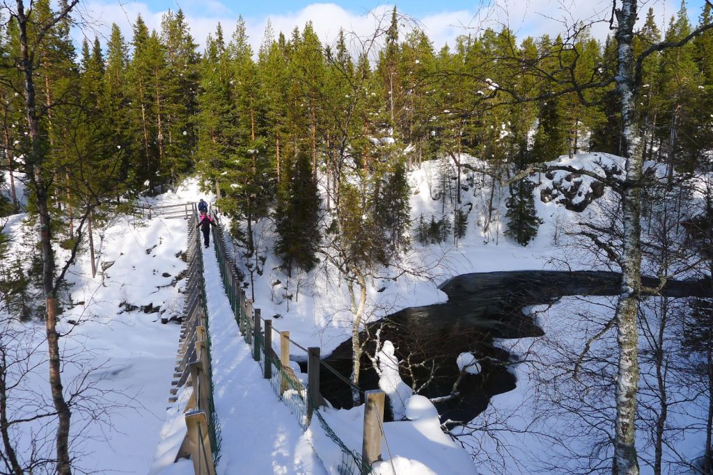 Riippusilta Kitkajoen yli lumisessa metsässä Pienellä Karhunkierroksella