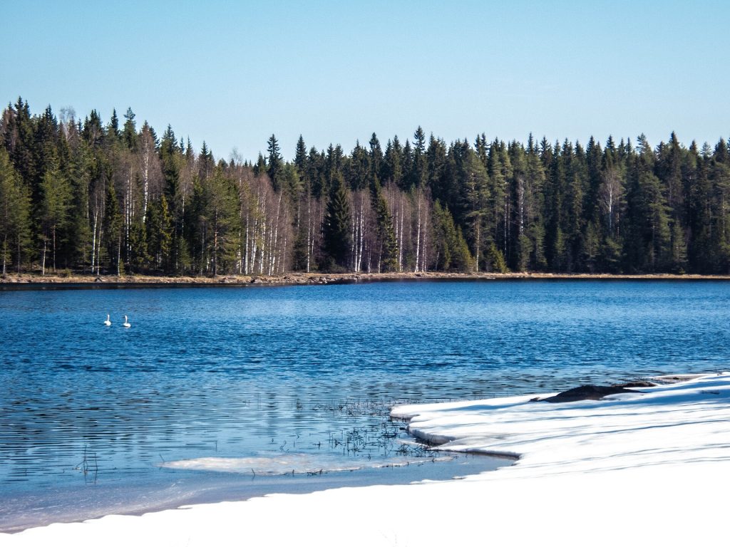 Sälevä-järvi Sonkajärvellä kevätjäiden aikaan
