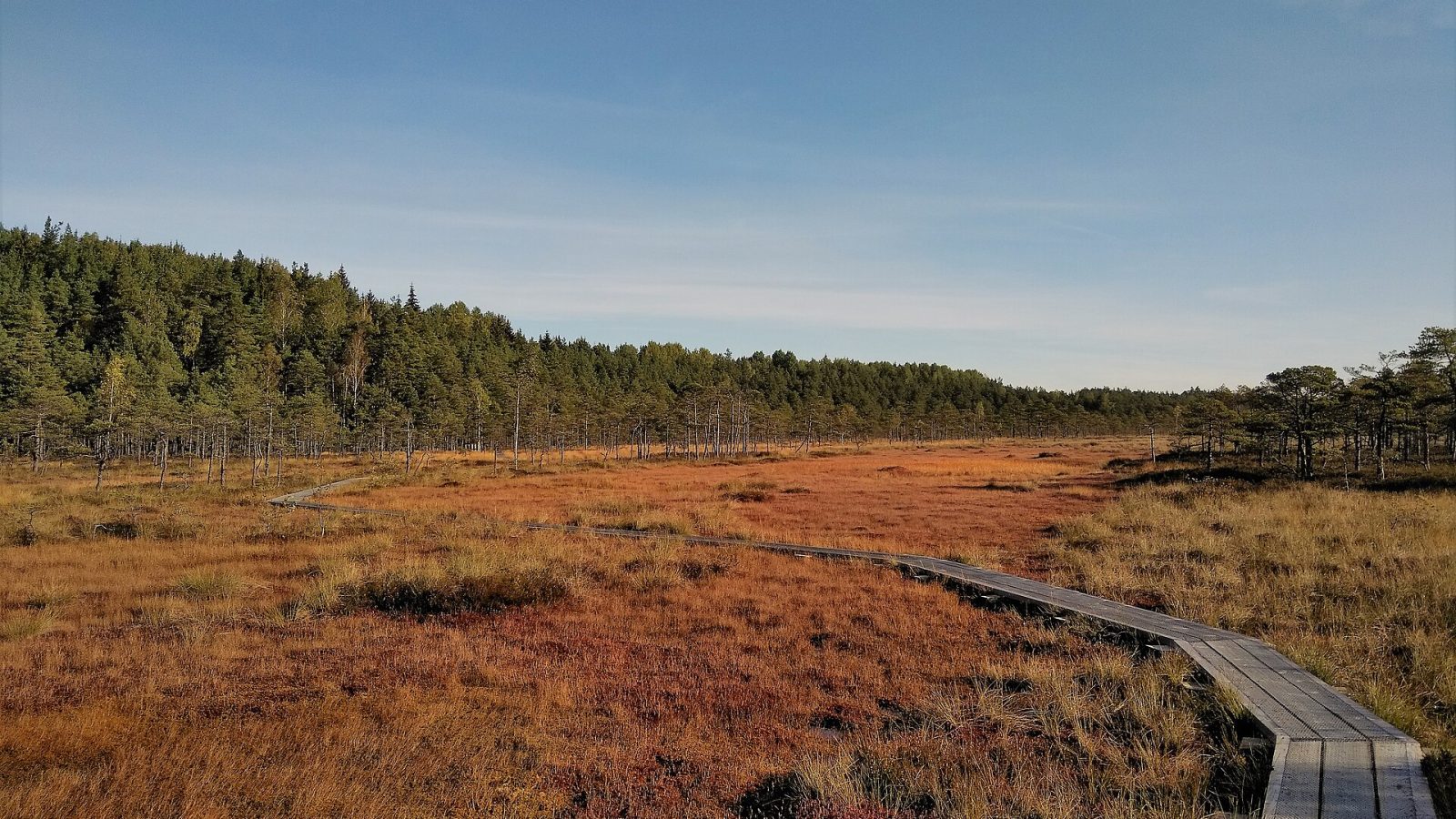 Viron monet puolet – rämeet, linnat, kartanot ja Kihnu